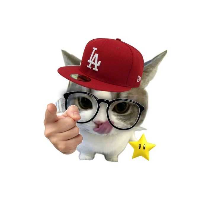 กิตติภูมิ สุขห่วง